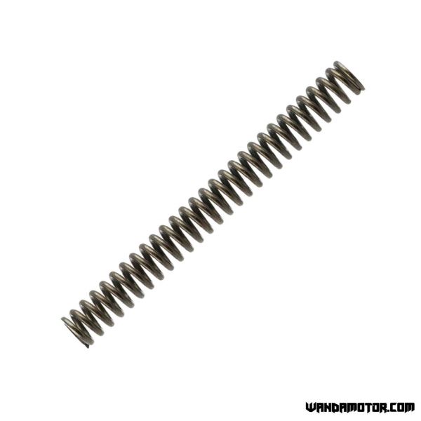 #24 Z50 cam chain tensioner spring